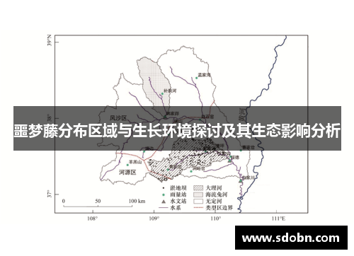 噩梦藤分布区域与生长环境探讨及其生态影响分析